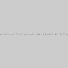 Image of Recombinant Coronavirus Nucleoprotein (SARS-CoV-2)
